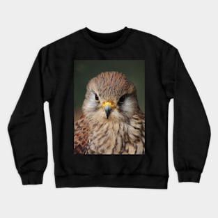 Kestrel Crewneck Sweatshirt